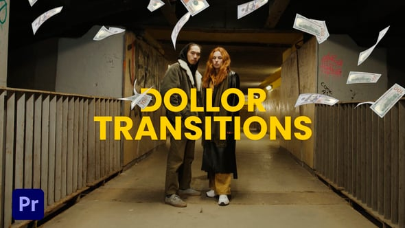 Dollar Money Transition（164142）-技能树